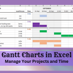 EXCEL/G-SHEETS: Gannt Charts to Manage Projects Excel Gannt Chart